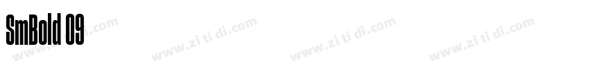 SmBold 09字体转换